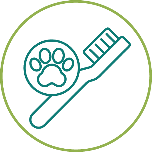 drawing of a tooth brush with paw in a light green circle