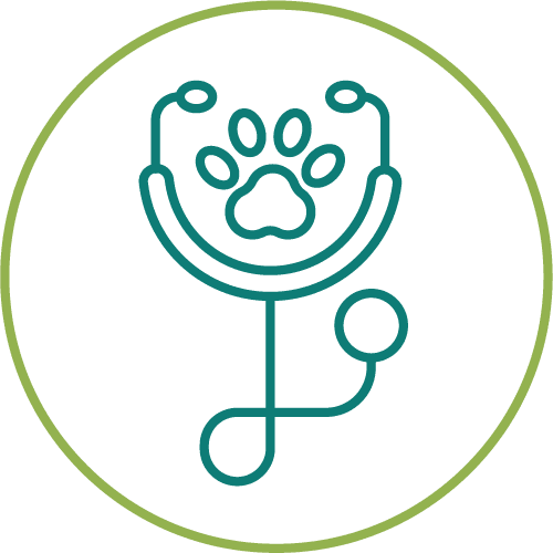 drawing of a stethoscope with paw in a light green circle
