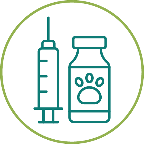 drawing of medication in a light green circle